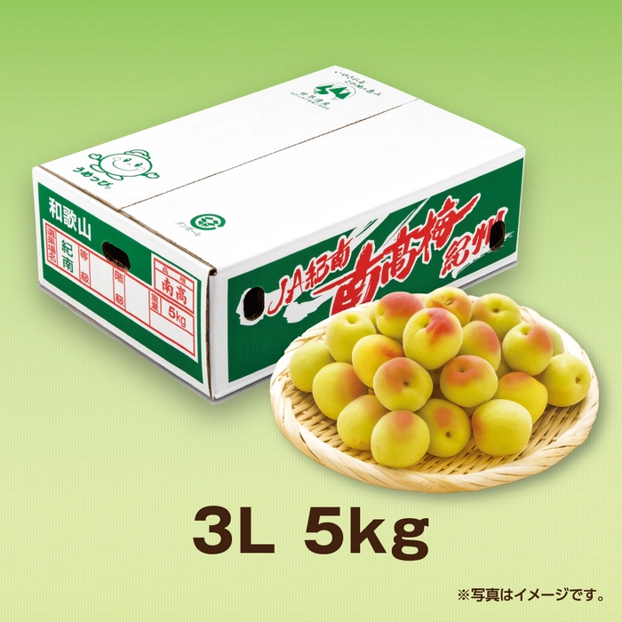 Amazon | 和歌山県産 南高梅(完熟梅）約5kg 大粒の3Lサイズ以上