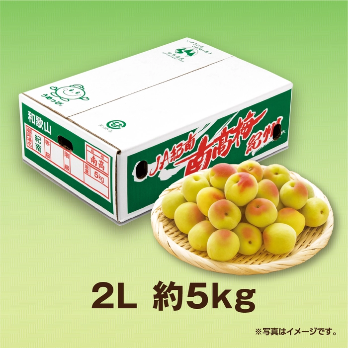 紅南高梅　L-2L 10キロ　バルト88 南高梅2L（約5k箱）