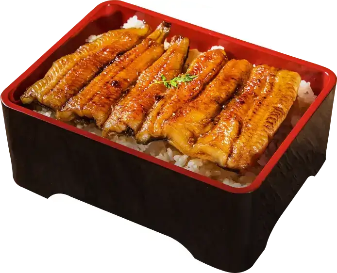 Eel
