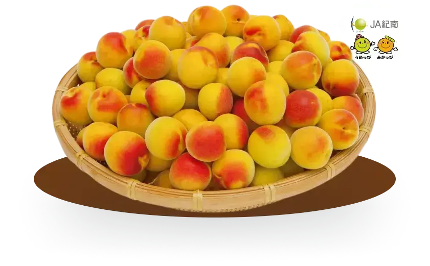 Plum