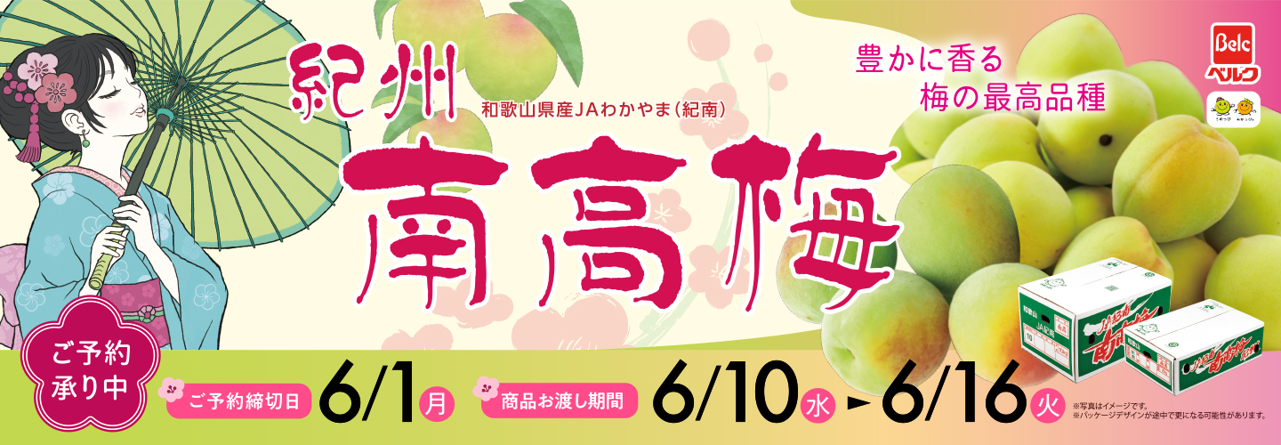 予約 :南高梅 2026年: 商品選択